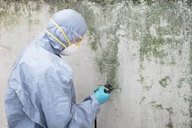 Best Biohazard Mold Removal  in Ladera, CA